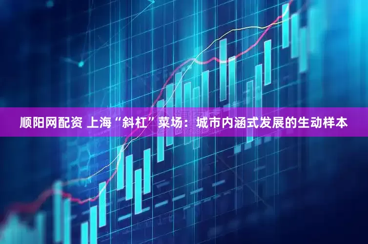 顺阳网配资 上海“斜杠”菜场：城市内涵式发展的生动样本